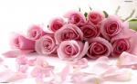 Розоватый букет с лепестками роз
